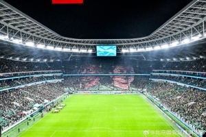 球迷打出张玉宁、法比奥双人射门进球Tifo，国安官方致谢